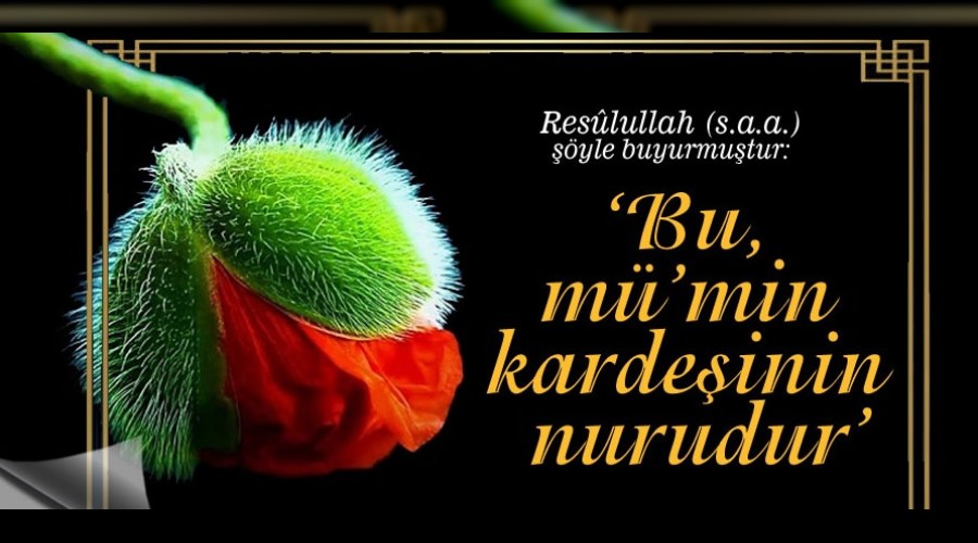 Bu, mmin kardeinin nurudur