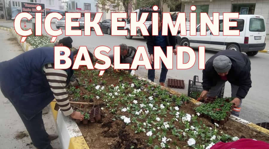 iek ekimine baland