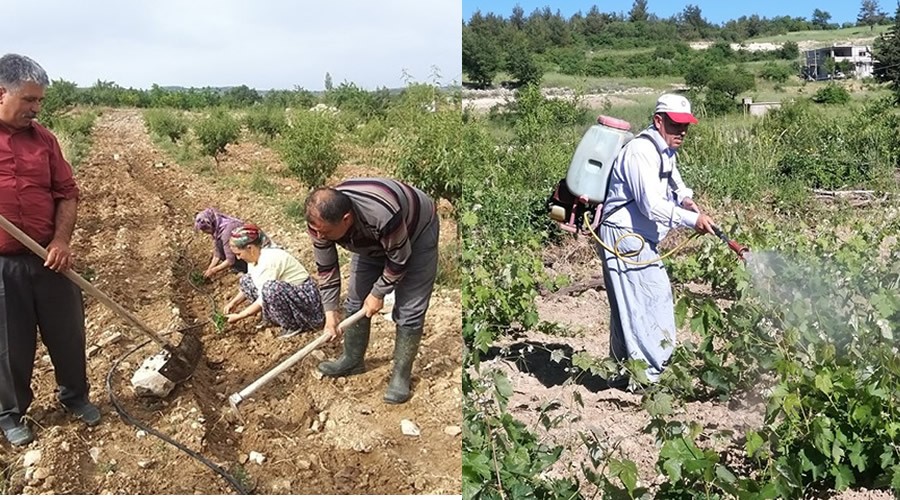 izmeli,alvarl,apa sallayan,ila vuran kii Glnar Belediye Bakandr