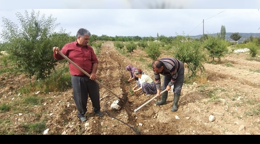 izmeli,alvarl,apa sallayan,ila vuran kii Glnar Belediye Bakandr