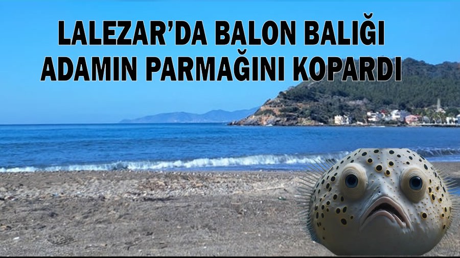 Lalezarda Balon bal adamn parman kopard