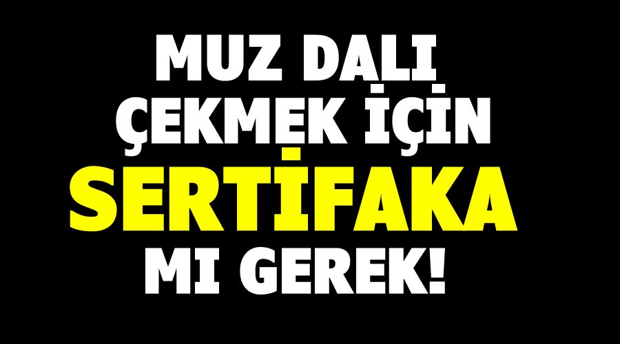 Muz dal ekmek iin sertifika m gerek?