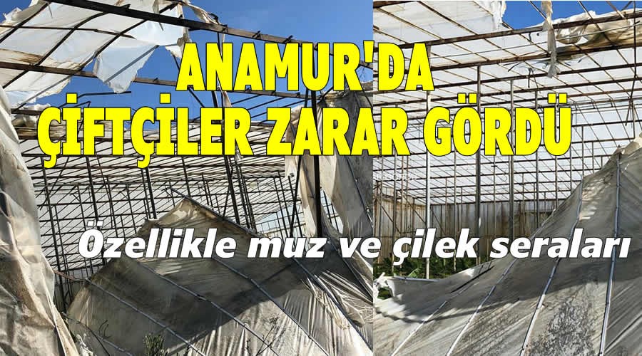 Anamurda tarm arazileri zarar grd