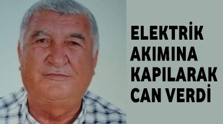 Sini aynda elektrik akmna kaplarak can verdi