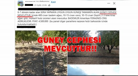 Tarla satan kii gney cephesi mevcuttur dedi.Olay oldu 