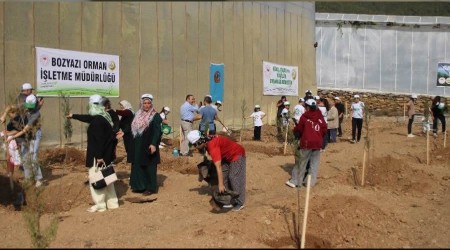 Tekmene 2.500 adet fidan dikildi