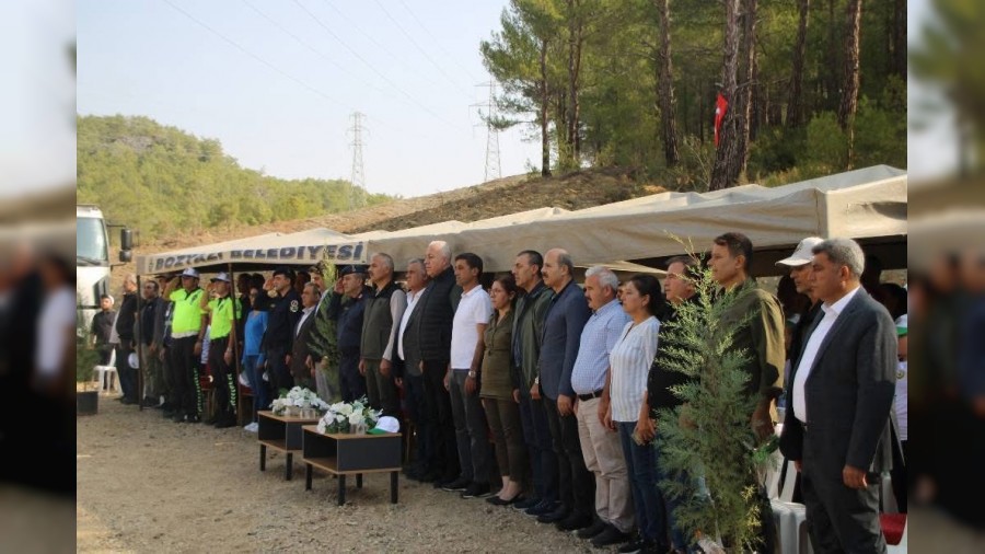 Tekmene 2.500 adet fidan dikildi