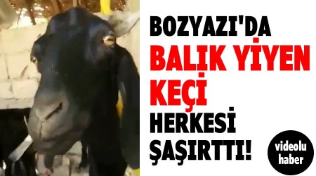 Bozyaz'da balk yiyen kei herkesi artt!