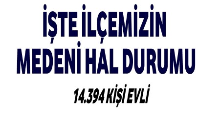 te ilemizin medeni hal durumu