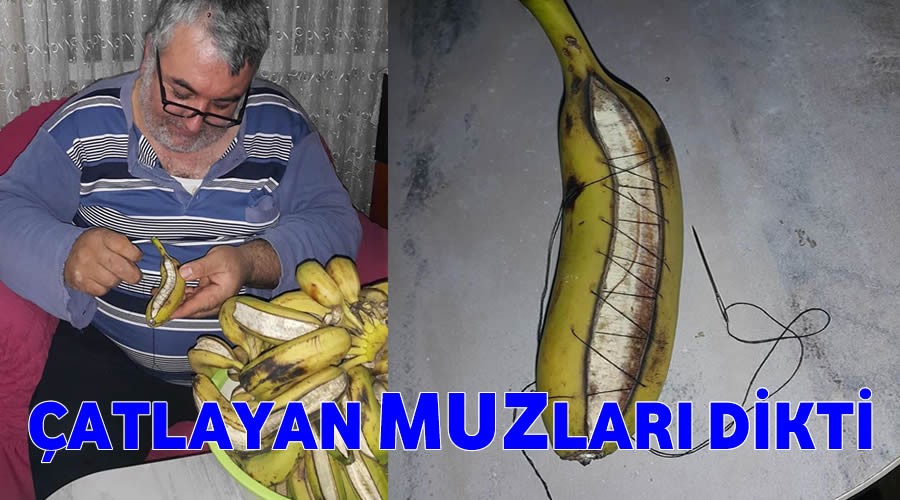 atlayan MUZlar dikti