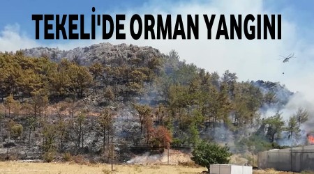 Tekelide cierimiz yanyor