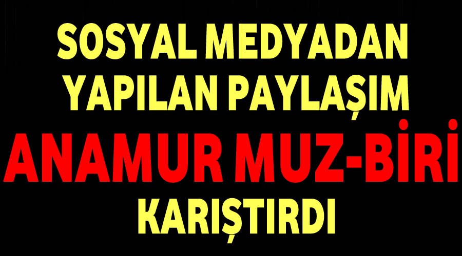 Paylam Anamur Muz-Biri kartrd
