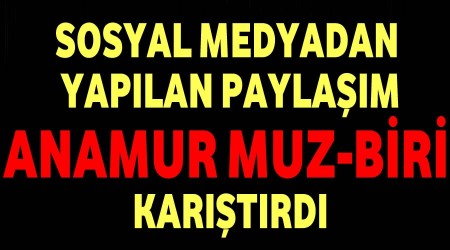 Paylam Anamur Muz-Biri kartrd