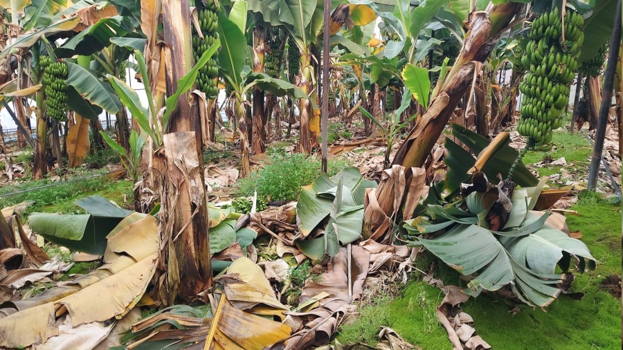 Serada �a�k�nl�k yaratan manzara