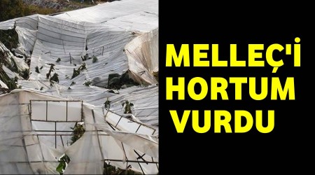 Mellei hortum vurdu