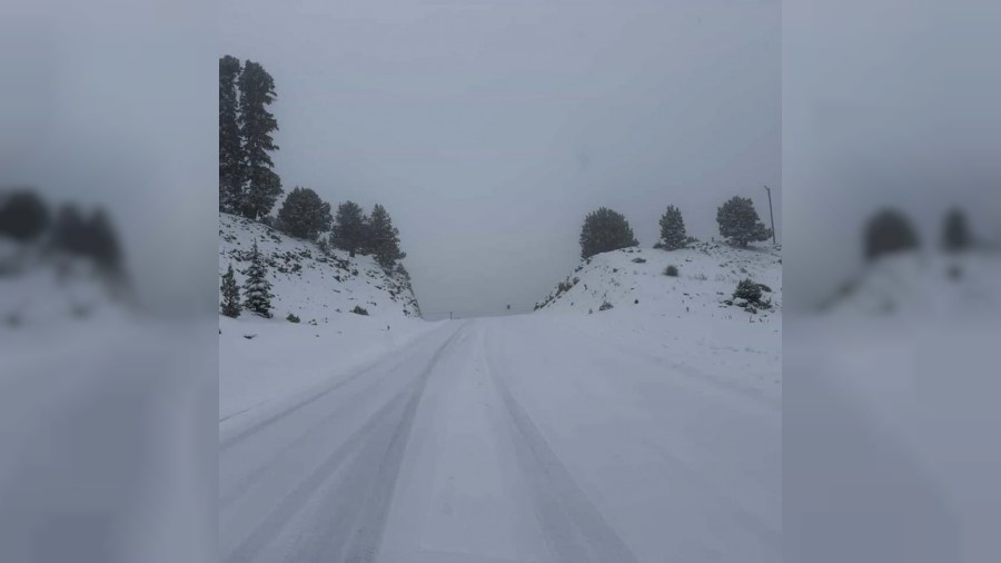 Abanoz Yaylas� Beyaza B�r�nd�