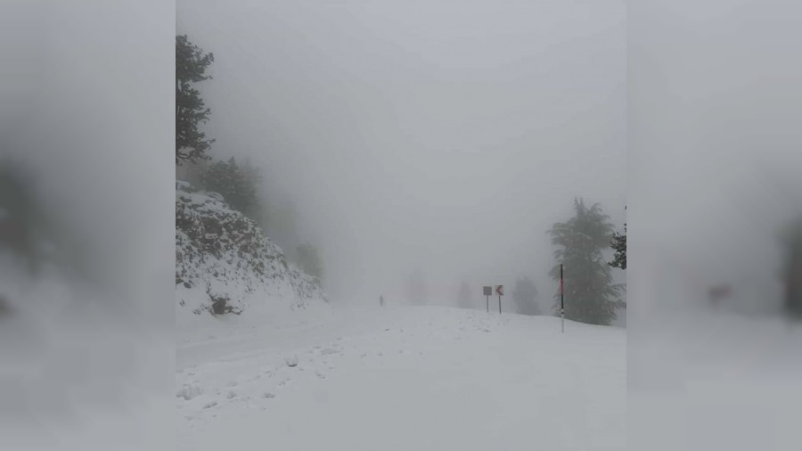 Abanoz Yaylas� Beyaza B�r�nd�