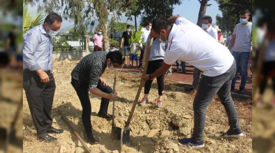 15 Temmuz ehitleri ansna fidan dikildi