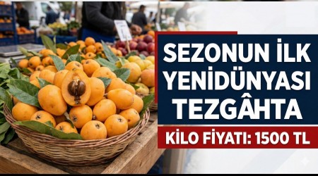 Sezonun �lk Yenid�nyalar� Tezg�hta: Kilosu 1500 Lira