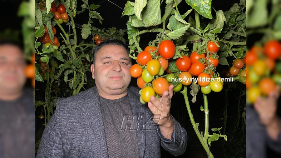 Yedi�iniz Domatesler Kolay Yeti�miyor: �ift�i Sabaha Kadar Don N�betinde